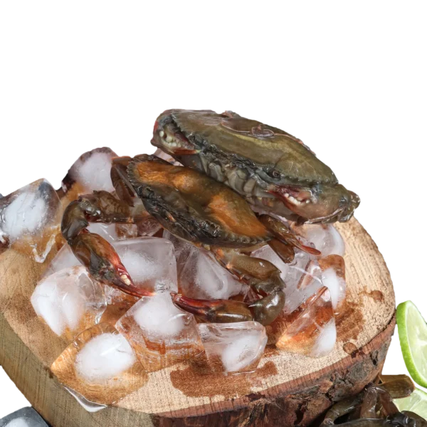 Gher_Soft Shell Whole (Clean)