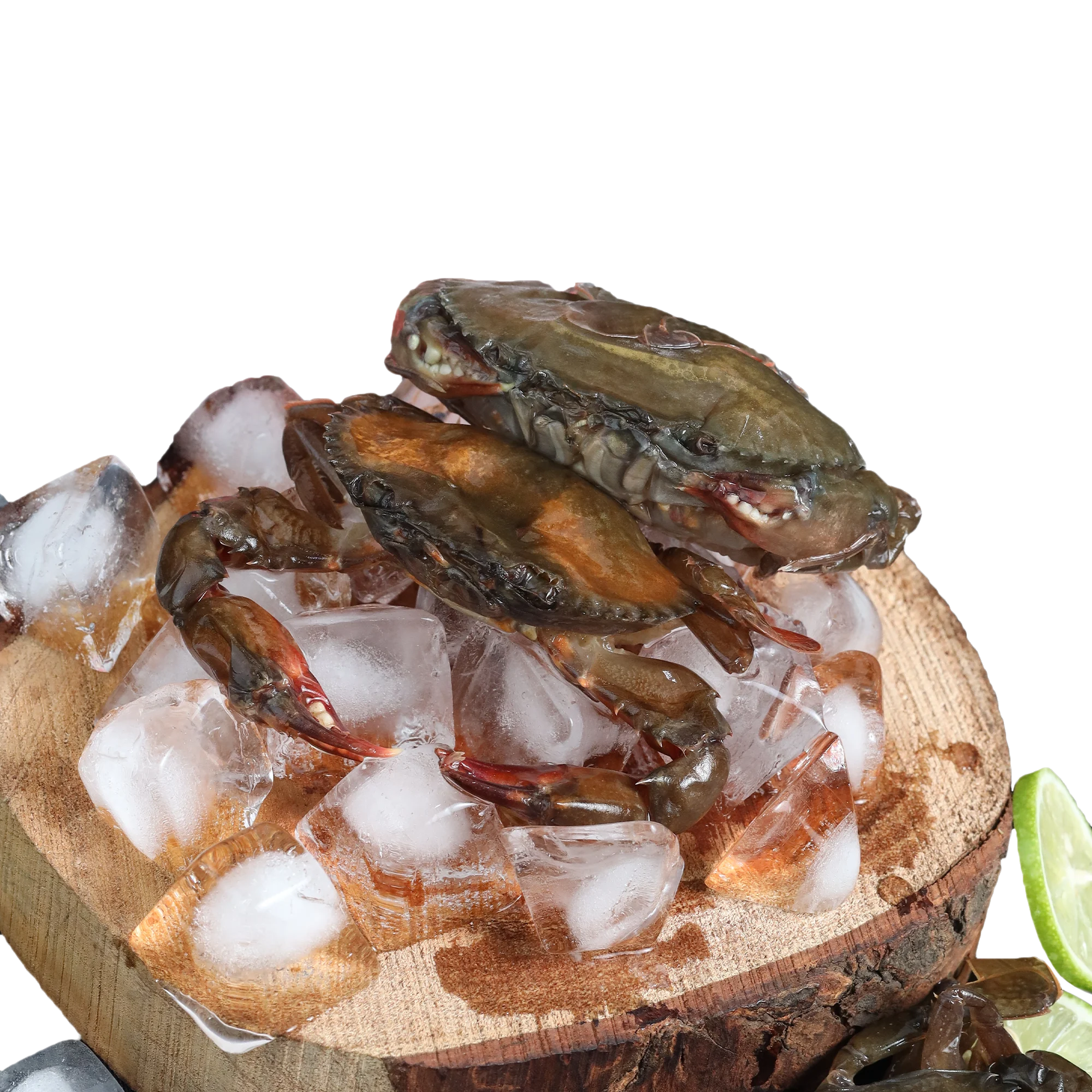 Gher_Soft Shell Whole (Clean)